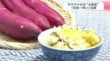 「日本一早い」秋の味覚出荷!温暖な気候いかしたサツマイモ“土佐紅”収穫始まる | 高知のニュース・天気|KUTV NEWS | KUTVテレビ高知