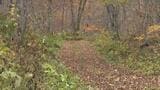 「このままじゃ、やられる、一か八か…」クマに襲われた男性 下敷きになった状態からナイフで反撃 緊迫の“格闘”を振り返る | 北海道のニュース|HBC北海道放送