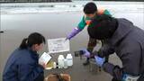 「油膜の有無や大腸菌の数、放射性物質の濃度」など調べる　海水浴シーズン前に水質検査　宮城・亘理町|TBS NEWS DIG