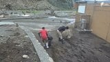 大雨で波勝崎モンキーベイに再び土砂流入 職員が撤去に追われる 7月9日からの営業再開目指す＝静岡・南伊豆町|TBS NEWS DIG