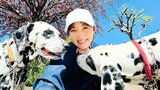 【高岡早紀】愛犬2頭と「のんびり散歩しています」微笑ましい光景にフォロワー共感|TBS NEWS DIG