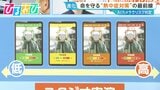 AIカメラでリスク判定“命を守る”熱中症対策 「手足のしびれ」「筋肉痛」医師が教えるサインは【ひるおび】|TBS NEWS DIG
