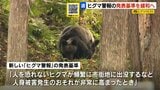 北海道が「ヒグマ警報」の基準緩和へ　人身被害が出る前にも発表可能に　1月中にも決定する見通し|TBS NEWS DIG