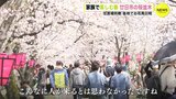 土日はお花見日和　家族で楽しむ春　住吉堤防敷の桜並木（広島･廿日市市）　|　RCC NEWS | 広島ニュース | RCC中国放送