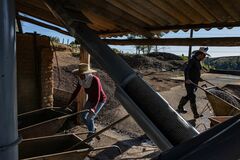 コーヒー先物急落、米議会が関税除外を検討と報道－需給緩和観測| TBS CROSS DIG with Bloomberg