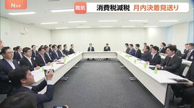 食料品の消費税減税 月内の決着見送り 「実質ゼロ化」案に野党反発で議論膠着|TBS NEWS DIG
