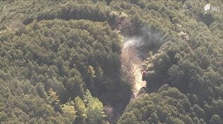 「警報が出たら火の粉が飛ぶような行為は禁止」山火事を防ぐ"新情報" 林野火災注意報と林野火災警報 違反者には罰則も【わたしの防災】 | 静岡のニュース | SBSNEWS | 静岡放送