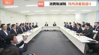 食料品の消費税減税 月内の決着見送り 「実質ゼロ化」案に野党反発で議論膠着| TBS CROSS DIG with Bloomberg