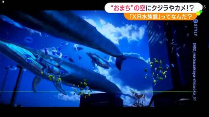 おまち”の空にクジラやカメ!?「XR水族館」ってなんだろう？全国の