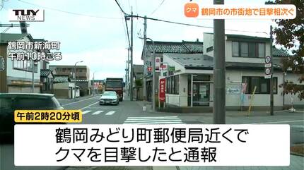 くまきゅう様2点おまとめ20%OFF【横取りお取引いたしません】 付近に潜んでいる可能性も鶴岡市の市街地でクマの目撃相次ぐ 複数の