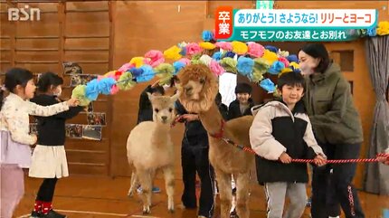 極希少 美品 昭和23年発行◆小学二年正月附録 動物園めぐり 双六 山上喜司 画 アルパカにさようなら」卒業の日を迎えたリリーとヨーコ 一緒に過ごし