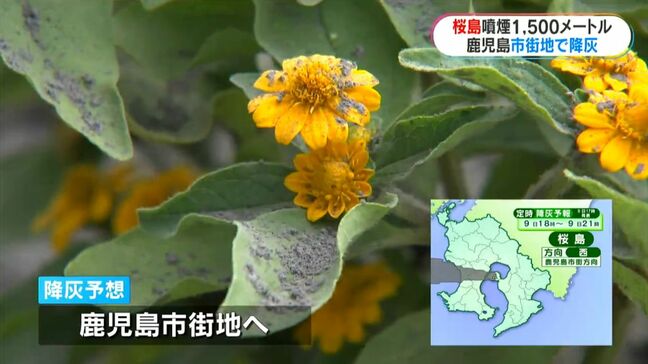 桜島で爆発的噴火　噴煙1500メートル　降灰は鹿児島市街地へ|TBS NEWS DIG
