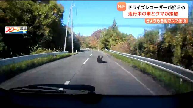 “各地でクマ出没” 川崎町では走行中の車と接触…県図書館や宮城大学でも目撃情報が相次ぐ 宮城|TBS NEWS DIG