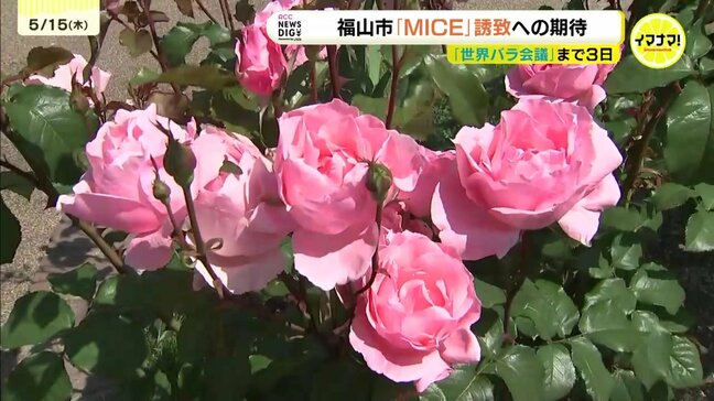 「世界バラ会議」契機に「MICE」誘致へノウハウ高まる　開催意義還元のセミナーや企業間連携　広島・福山市|TBS NEWS DIG