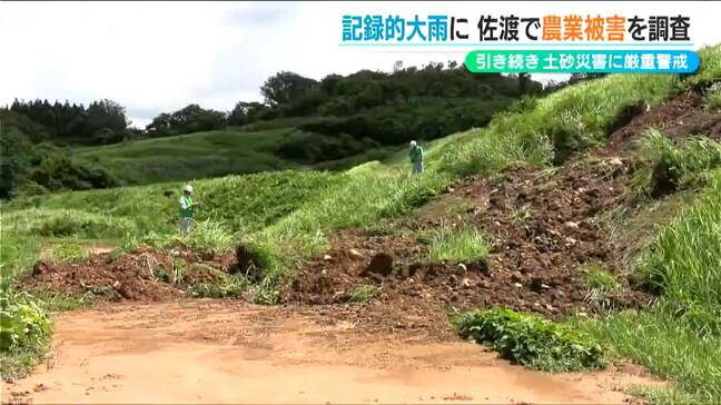 記録的大雨で農地に大きな被害「中山間地の農地復旧は大変」新潟県佐渡市に現地調査 農水省|TBS NEWS DIG