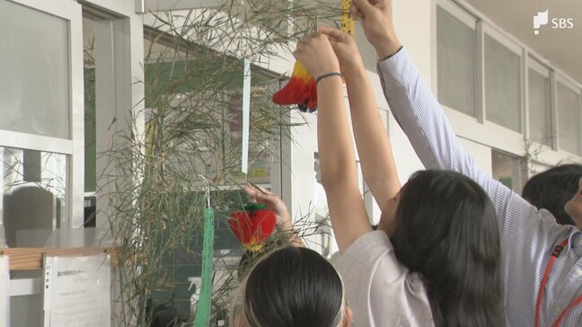 「サッカーコートを作ってほしい」七夕前に小学生が七夕の飾り付け テーマ「税金の使い道」を託す=静岡・富士市|TBS NEWS DIG