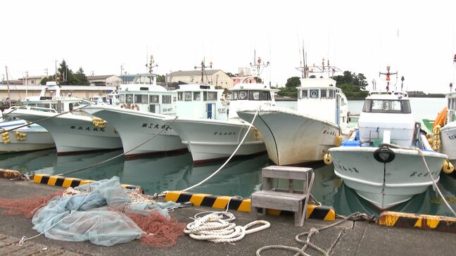「海に出ることができない」嘆く漁師…シラス盛んな静岡・用宗漁港で漁見合わせ 市場も閉め切られたまま異例の事態|TBS NEWS DIG