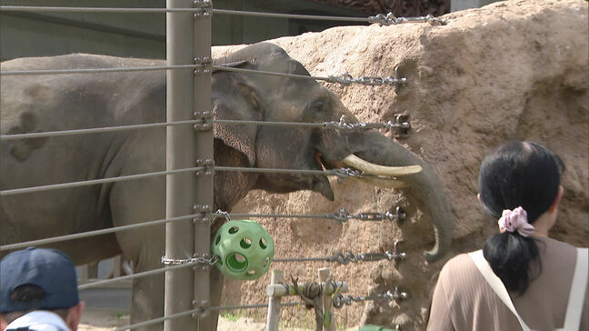 「障害のある子供たちに楽しんでほしい」貸し切りの動物園と科学館・プラネタリウムに招待　福岡市|TBS NEWS DIG