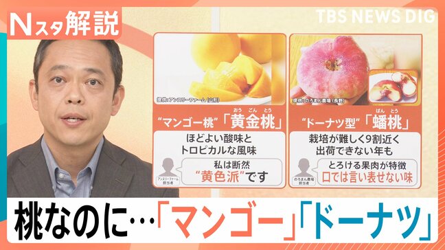 桃って100種類以上あるんです！　「パリパリな桃」「ドーナツみたいな桃」　日本一おいしい桃は？「全国桃選手権」開催！【Nスタ解説】|TBS NEWS DIG