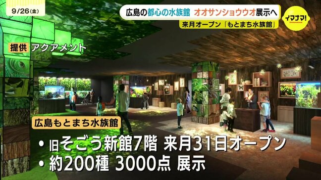 10月31日オープン「広島もとまち水族館」にオオサンショウウオ展示　安佐動物公園から無償貸与　動物公園・植物公園・こんちゅう館の３施設と水族館が連携協定|TBS NEWS DIG