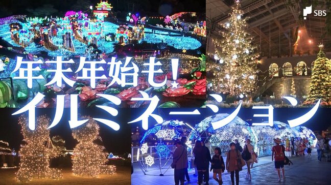 多彩!イルミネーション 年末年始も楽しめる静岡県内6スポット|TBS NEWS DIG