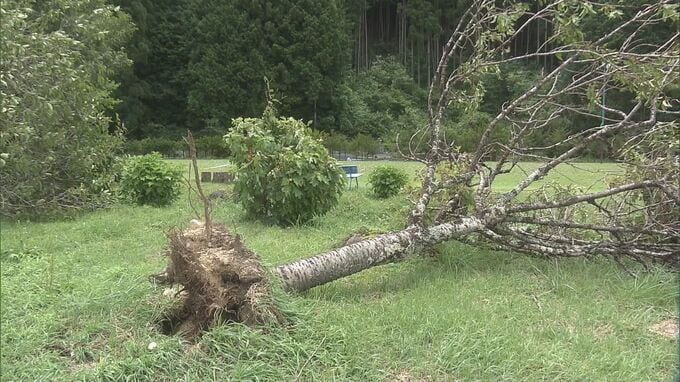 「ダウンバーストの可能性が高い」高山の突風被害 風速35メートルと推定　|　名古屋・愛知・岐阜・三重のニュース【CBC news】 | CBC web