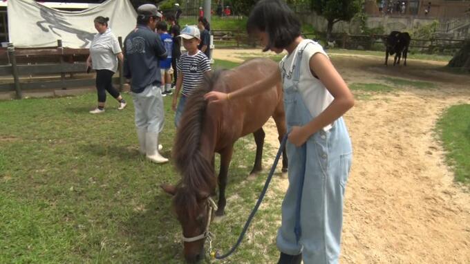子どもたちがヨナグニウマと触れあい飼育員を体験　沖縄こどもの国|TBS NEWS DIG