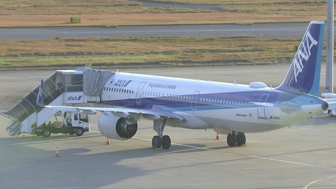 ANA 65便欠航　約9400人に影響　使用機体の整備作業のため　欧州航空安全庁がエアバス319・320・321型機に整備を指示|TBS NEWS DIG