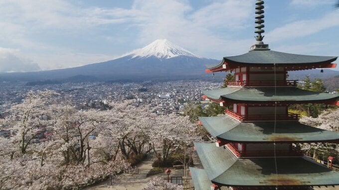 Mt. Fuji viewing spots: 3-hour waits despite overtourism measures.　|　山梨のニュース | ＵＴＹテレビ山梨
