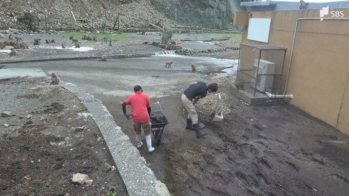 大雨で波勝崎モンキーベイに再び土砂流入 職員が撤去に追われる 7月9日からの営業再開目指す＝静岡・南伊豆町|TBS NEWS DIG