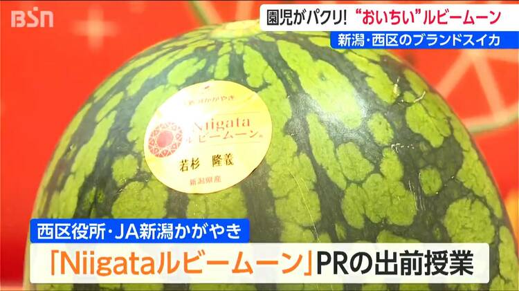 おいちい」園児が夢中の食べ比べ 名前はスイカっぽくない？デビュー4年