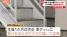 胸や脚などには複数の骨折やあざが…　当時0歳の娘に暴行を加え死亡させたとして父親を逮捕　群馬・前橋市|TBS NEWS DIG