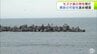 「海から人を引きあげた」海でモズク漁をしていたとみられる70代男性が意識不明の状態で病院搬送　約2時間後に死亡確認　青森県大間町　|　青森のニュース│ATV NEWS│青森テレビ