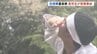 「涙が出てきた」白虎隊士を追悼　墓前祭で高校生が剣舞奉納　福島・会津若松市　|　福島のニュース│TUF