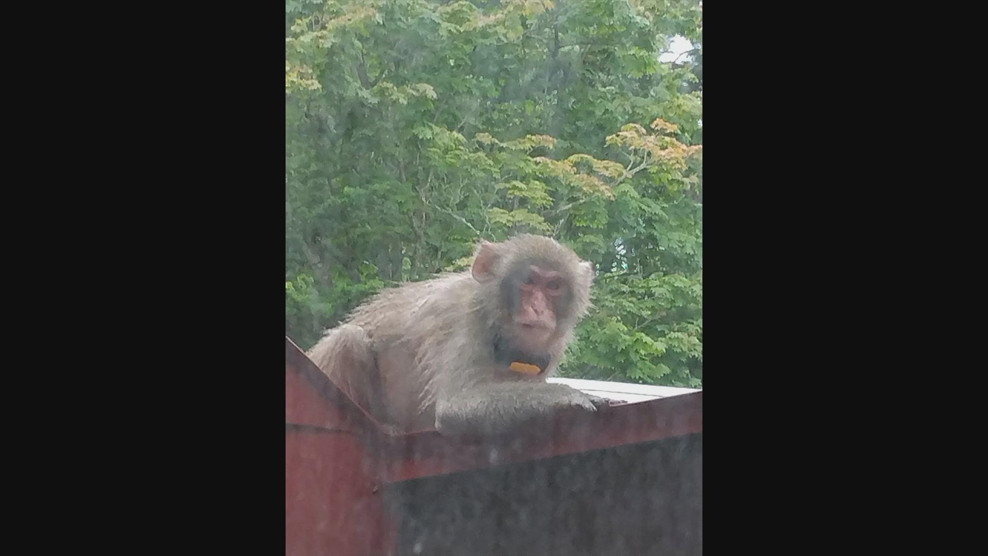 img_8d2dafe1554dd7d1b95cf8702b