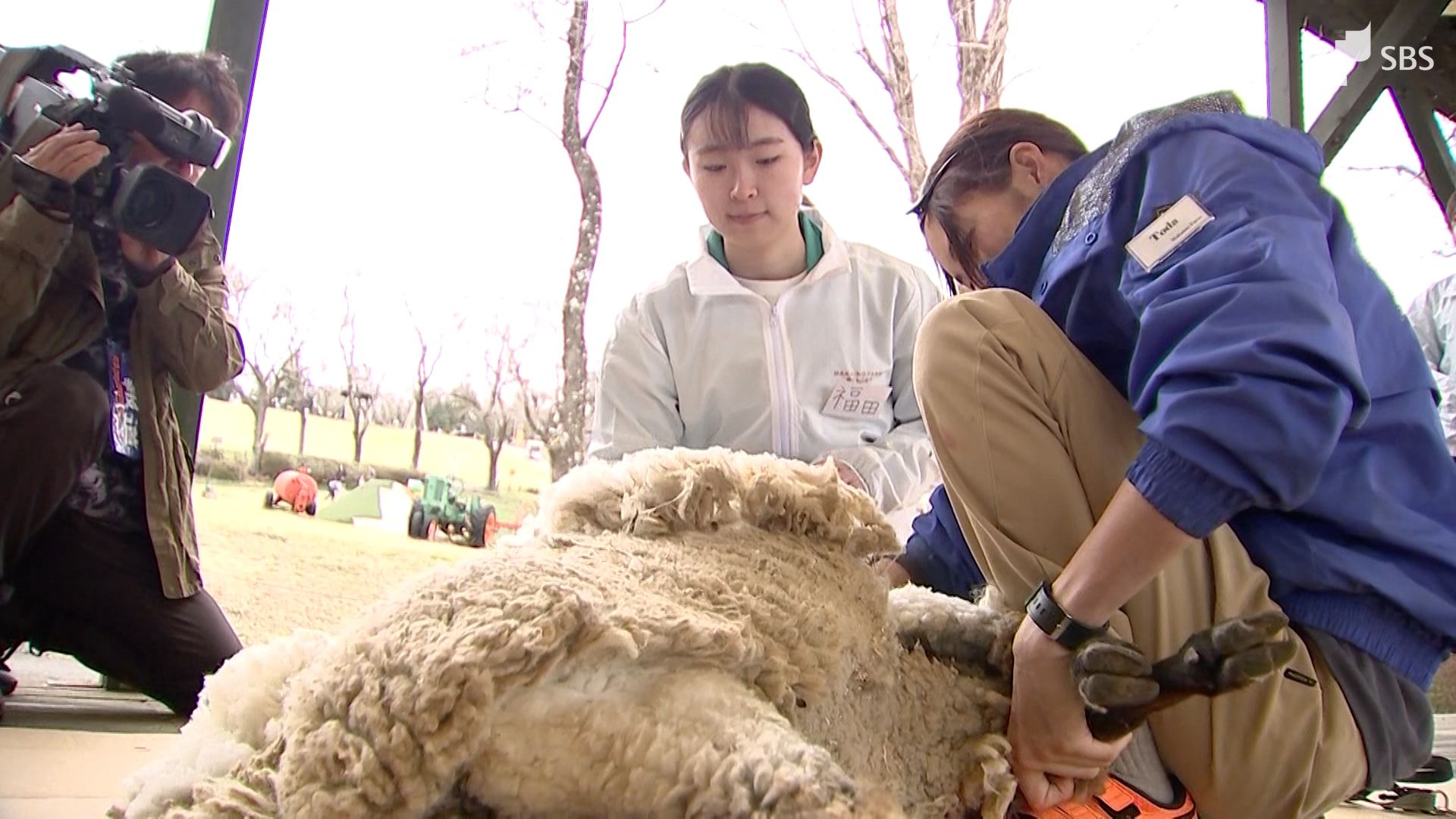 牧場主 911+feAmzwL.jpg