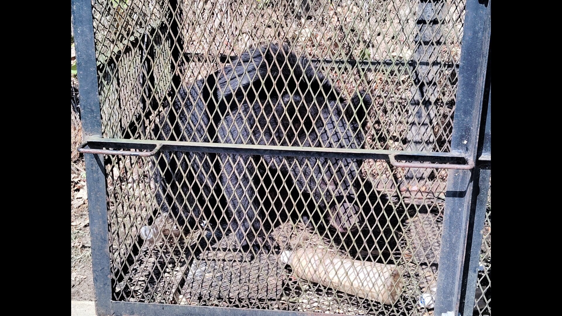 img_8de4cbc9183472dc46efac6b22