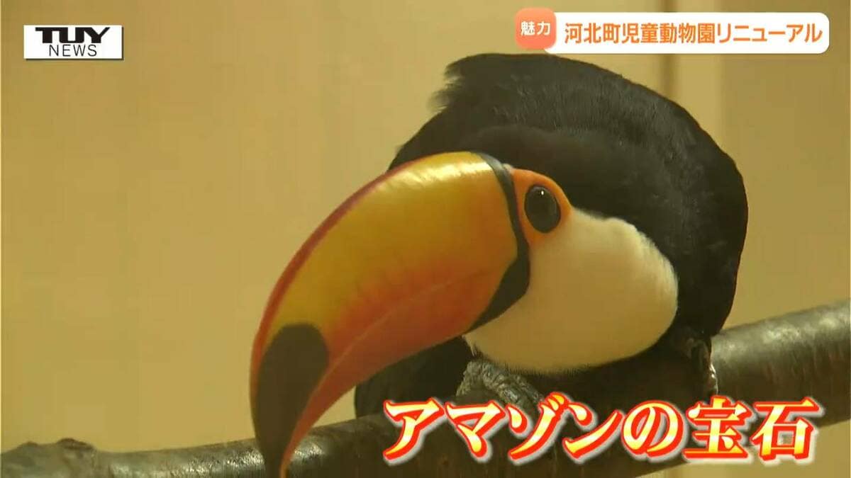 県内唯一の動物園（無料）がリニューアル！東北でここだけの鳥も