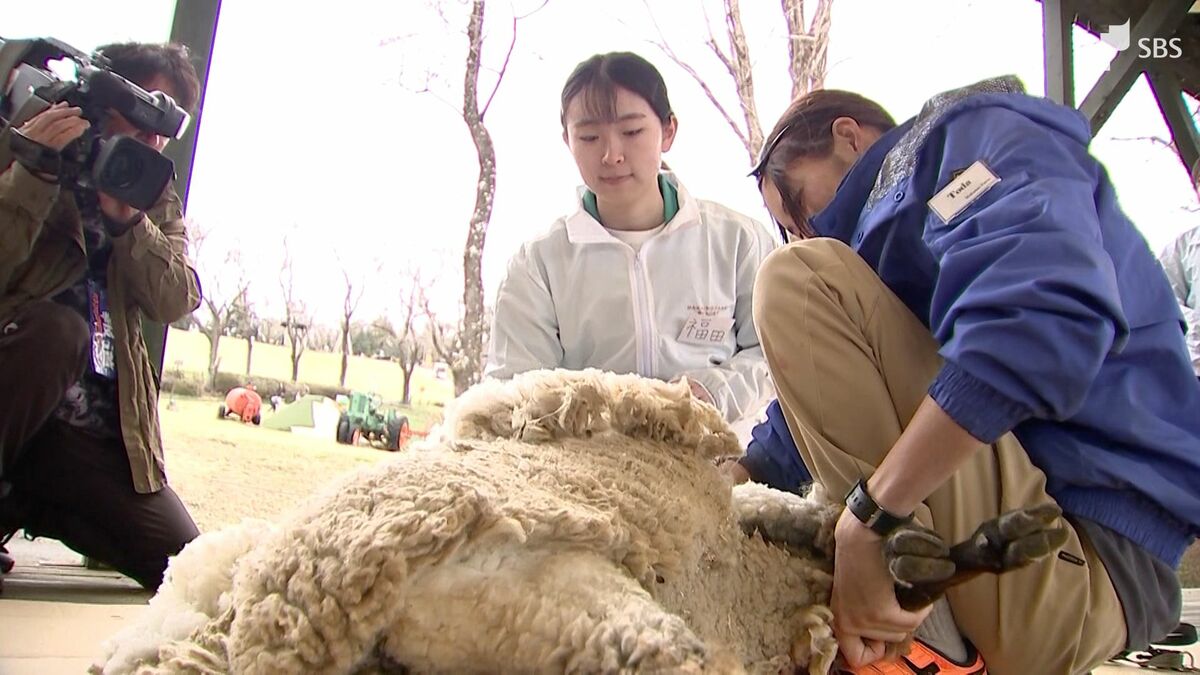 img_8da81022a5680c0c36c45b34bd