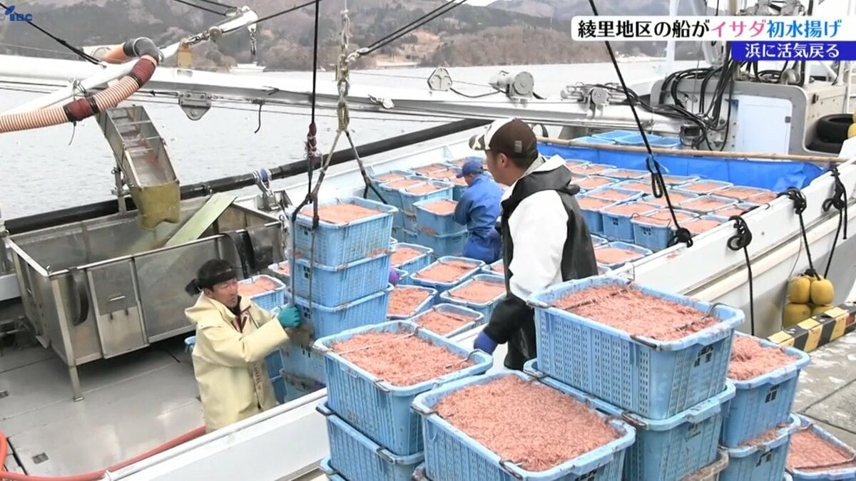 三陸沖の春の風物詩」イサダ漁 山林火災の影響を強く受けた大船渡市