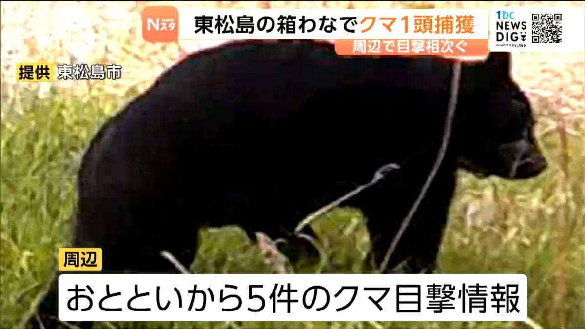 設置したイノシシ用箱わなに