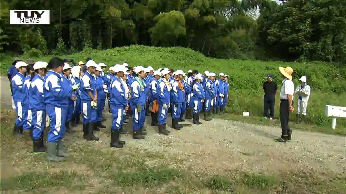 小学生中学生近親相動画 