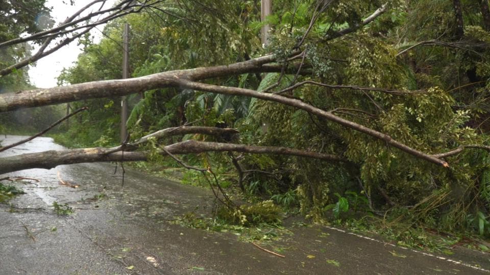 台風13号　県内で9人けが、住宅被害7件　県が災害対策本部会議で被害状況を確認　