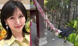 【 横山ルリカ 】神社で“カラスの驚きの行動”を目撃「 なんとカラスが鈴を鳴らしていました」|TBS NEWS DIG