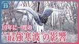 10年に一度の“最強寒波”の影響　電車が立ち往生し10時間車内に閉じ込められた人も…　JR西「判断に時間がかかった」【news23】|TBS NEWS DIG