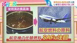 使用済み食用油で飛行機が飛ぶ!?持続可能な航空燃料「SAF」に注目集まる【ひるおび】|TBS NEWS DIG