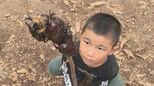 カブトムシ300匹放し飼い！“むつみ昆虫王国”夏休みの子どもたちが夢中に|TBS NEWS DIG