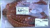 「アワビ買ってホタテ、タコも」特産の海産物を販売 年の瀬恒例「おすばで祭り」にぎわう 宮城・南三陸町 | 宮城のニュース│tbc NEWS│tbc東北放送
