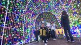 約45万球のLEDが庭園彩る 長さ300メートル「光のトンネル」も タオル美術館 イルミネーション点灯式|TBS NEWS DIG