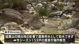 稲作に影響も 硫黄山の火山活動による河川の水質悪化 えびの市長らが宮崎県に支援策などを要望 | MRTニュース | MRT宮崎放送